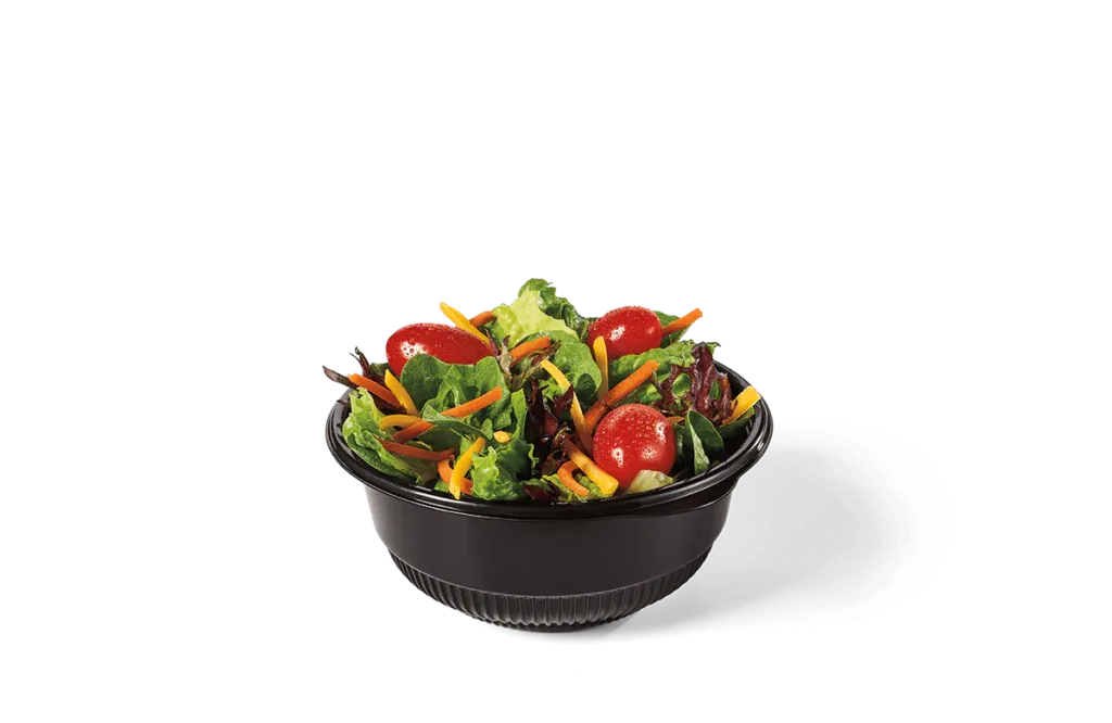 A small serving of fresh lettuce, tomatoes, and dressing on the side.